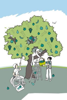 tandem-Illustration 3 Menschen ernten Früchte von einem Baum tandem-Illustration 3 Menschen ernten Früchte von einem Baum