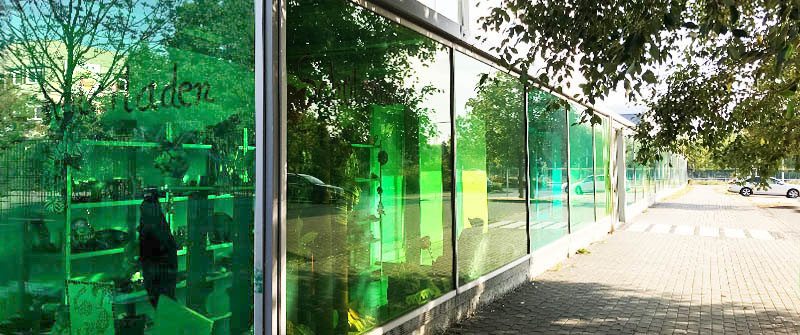 Schulsozialarbeit an der Schule am Mummelsoll, Förderzentrum, Schwerpunkt "Geistige Entwicklung", Berlin Marzahn-Hellersdorf, Blick in grüne Fenster Schulsozialarbeit an der Schule am Mummelsoll, Förderzentrum, Schwerpunkt "Geistige Entwicklung", Berlin Marzahn-Hellersdorf, Blick in grüne Fenster